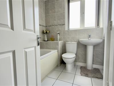 Picture 17